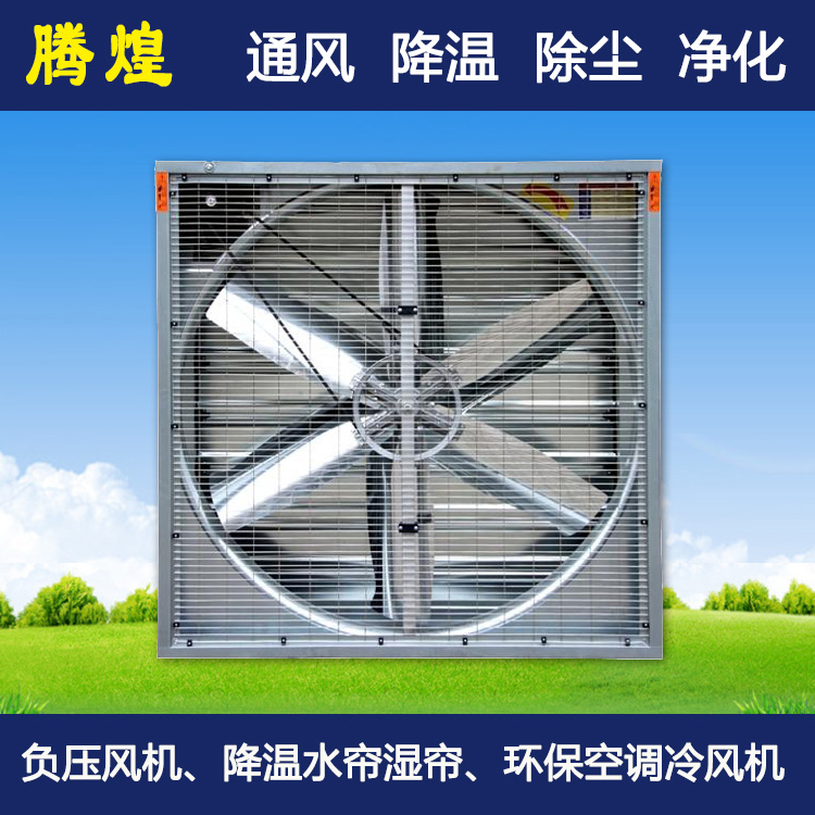 排風(fēng)降溫解決方案揭陽畜牧養(yǎng)殖豬場(chǎng)