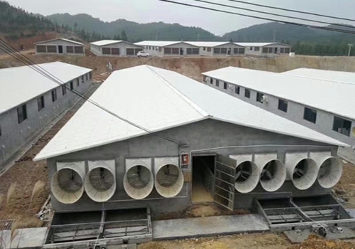換氣通風方法辦法佛山畜牧養(yǎng)殖豬場  免費設(shè)計2-3套通風降溫方案